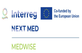 medwise logo